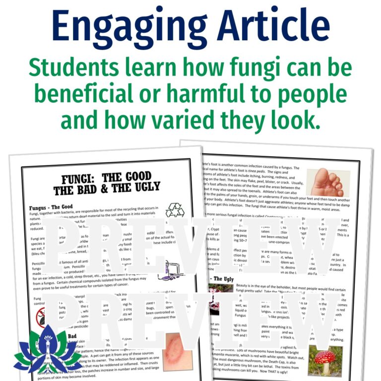 Fun Fungi Reading for Middle School - Flying Colors Science