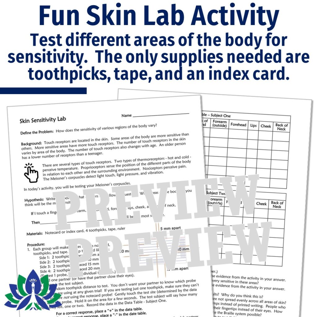 Integumentary System Activity: Skin Sensitivity Lab - Flying Colors Science