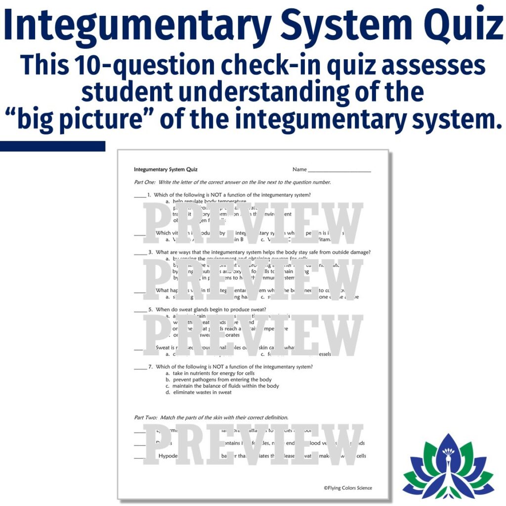 Skin and Integumentary System Notes and Quiz - Flying Colors Science image.