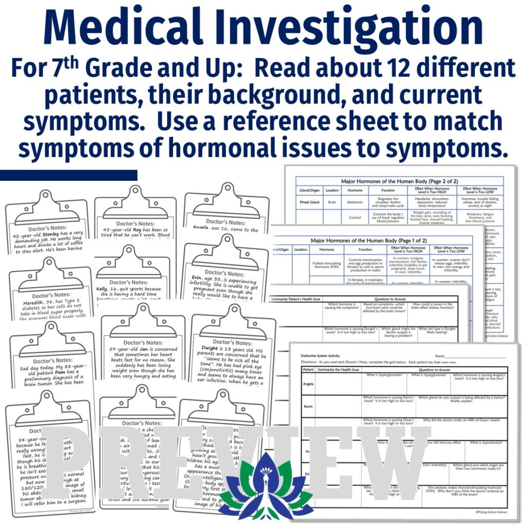 Complete Endocrine System Unit - Flying Colors Science
