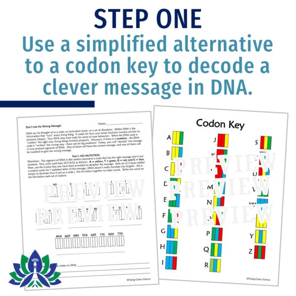 DNA Mutations Activity - Image 3