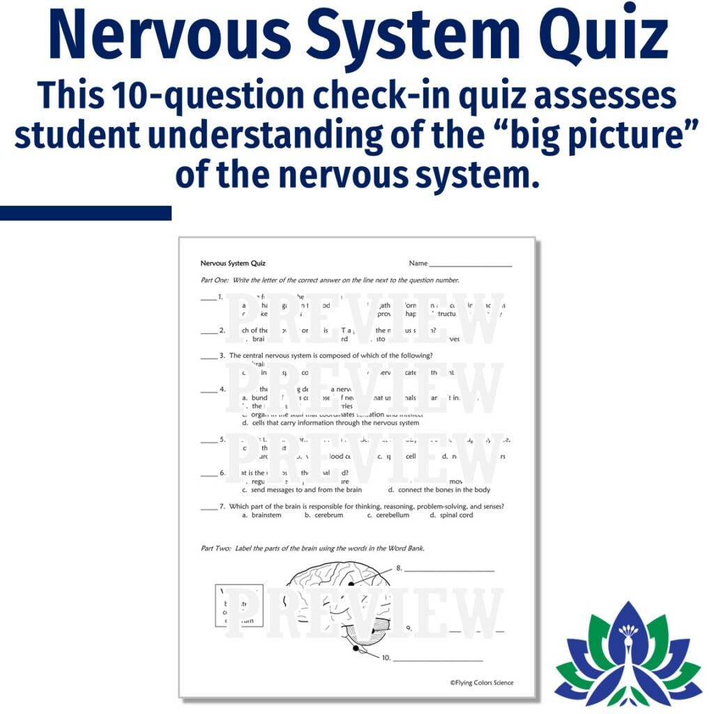 Complete Nervous System Unit - Flying Colors Science