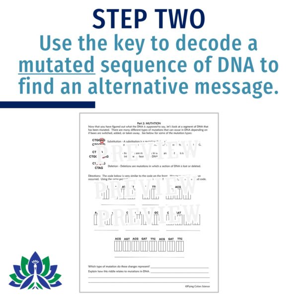 DNA Mutations Activity - Image 4