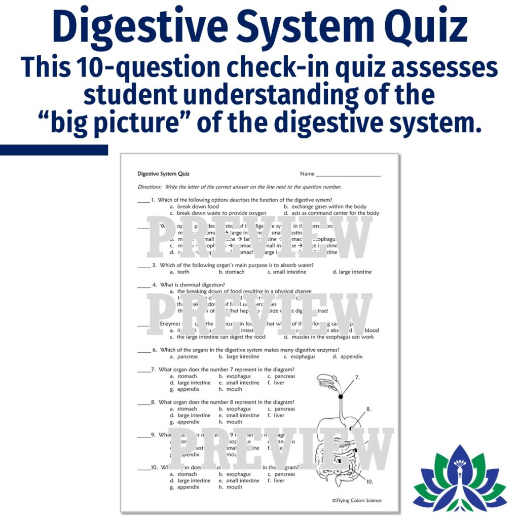 Complete Digestive System Unit - Flying Colors Science