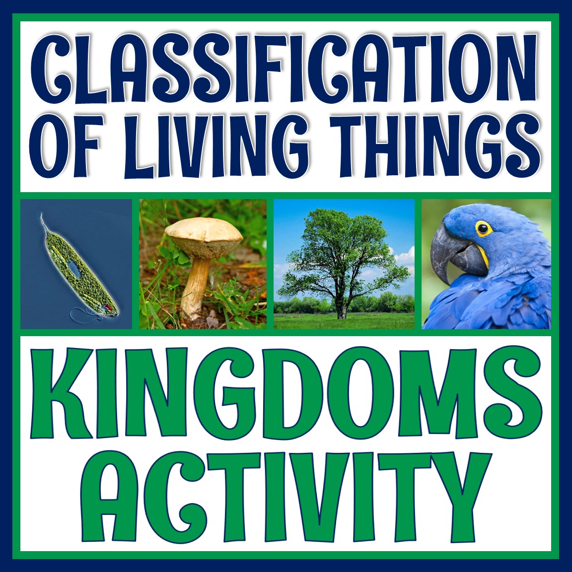 Eukaryotic Kingdoms Activity - Flying Colors Science