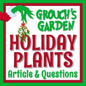 Christmas Science Activity