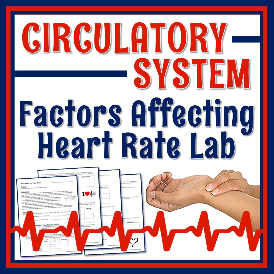 heart rate lab