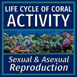 asexual and sexual reproduction activity