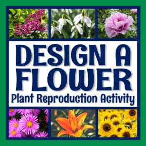 plant reproduction activity