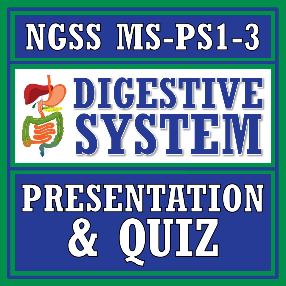 Digestive System Notes and Quiz - Flying Colors Science