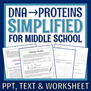 Protein Synthesis Reading for Middle School