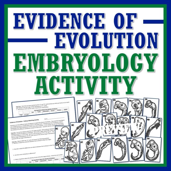 evidence-of-evolution-embryology-activity-flying-colors-science