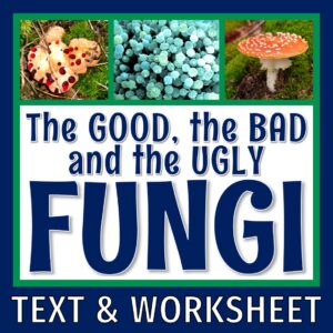 fungi reading for middle school