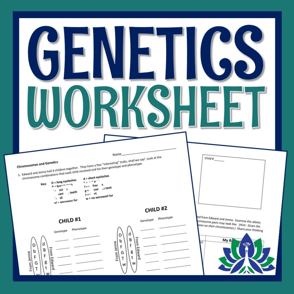 Genetics and Chromosomes Worksheet - Flying Colors Science