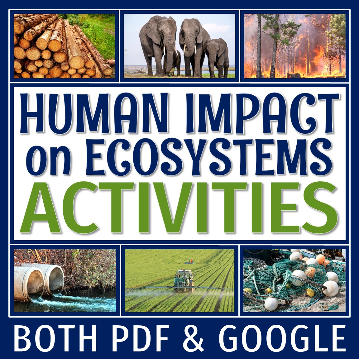 Human Impact on Ecosystems Archives - Flying Colors Science
