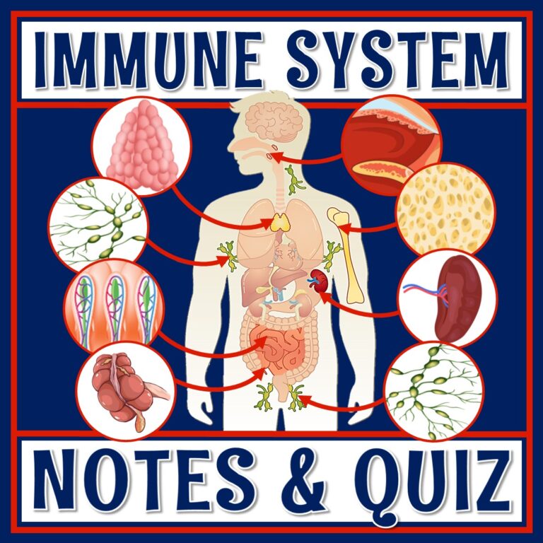 Immune System Notes And Quiz - Flying Colors Science