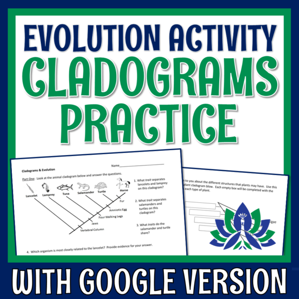 cladograms activity