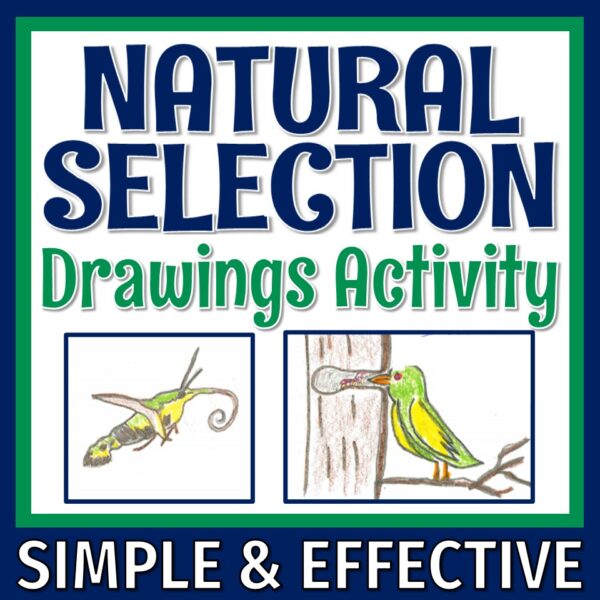 Natural Selection Activity