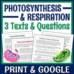 Photosynthesis and Cellular Respiration Article