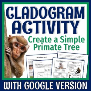 cladogram activity