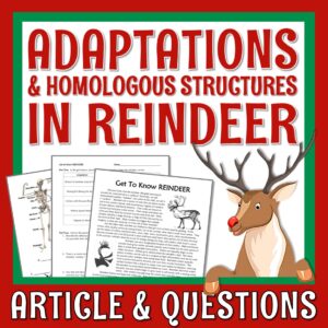Reindeer Science Activity