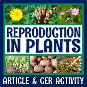 specialized structures for plant reproduction