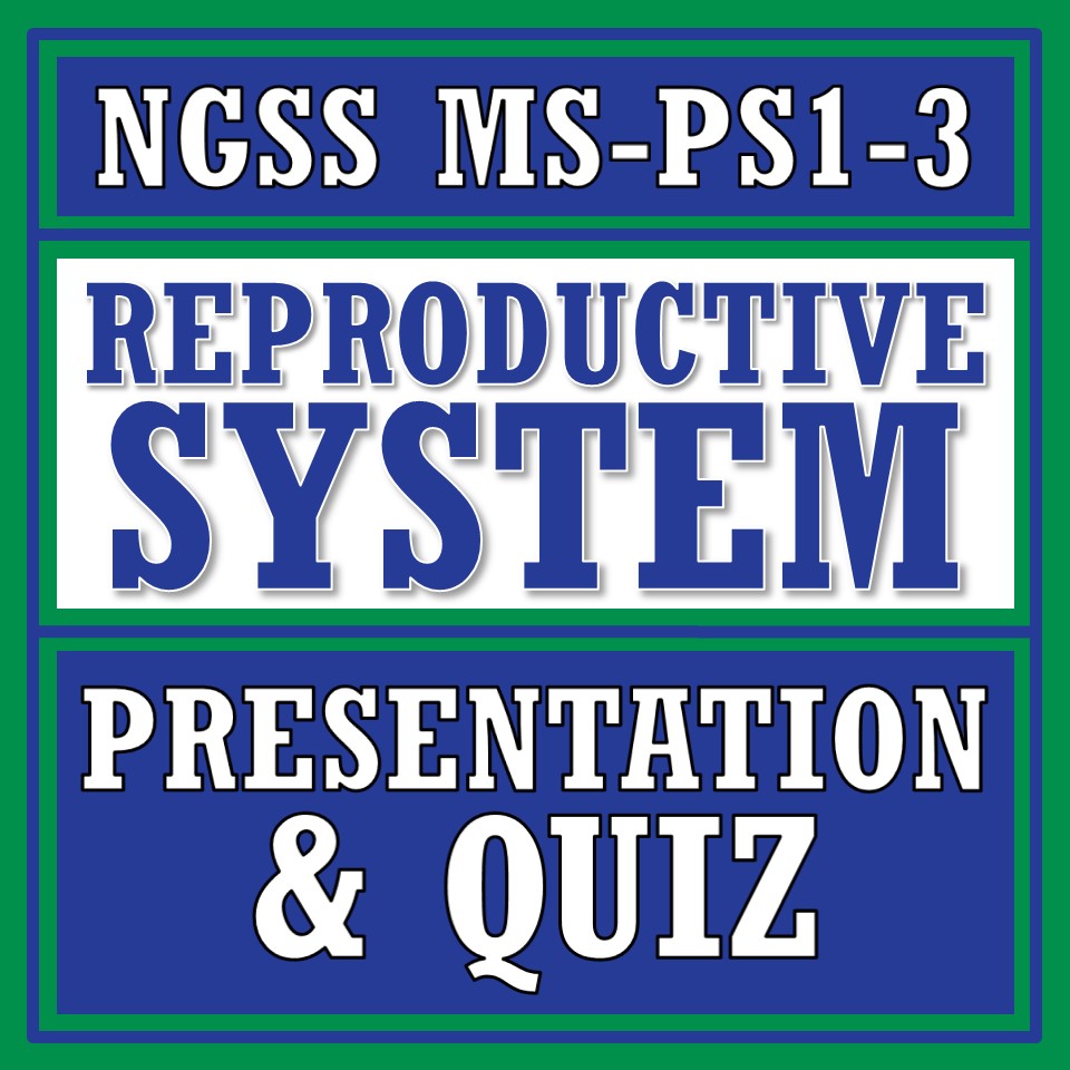 Introduction To The Reproductive System Notes And Quiz - Flying Colors 