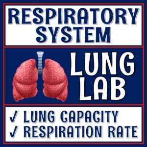 Respiratory System Activity