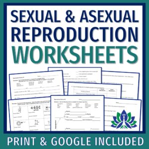 Sexual and Asexual Reproduction Worksheets