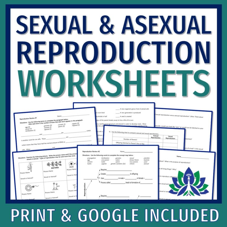 Sexual And Asexual Reproduction Worksheets Set Of 3 Flying Colors Science 6232