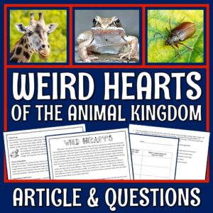 Circulatory System Reading