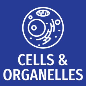 Cells & Organelles