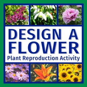 flower activity for plant sexual reproduction