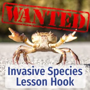 invasive species activity