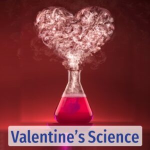 valentines day science for middle school