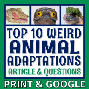 animal adaptations article