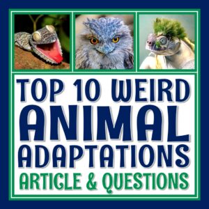 animal adaptations article