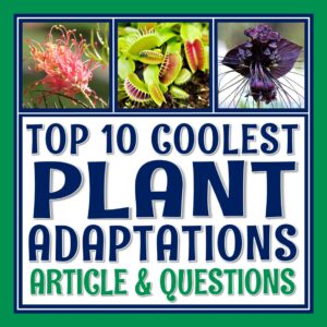 Plant Adaptations Reading
