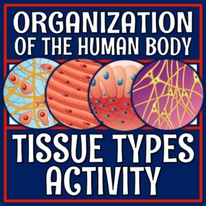 tissue types activity