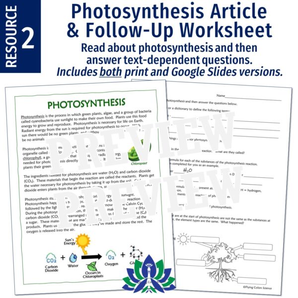 Cell Energy Unit: Photosynthesis and Cellular Respiration Activities - Image 4