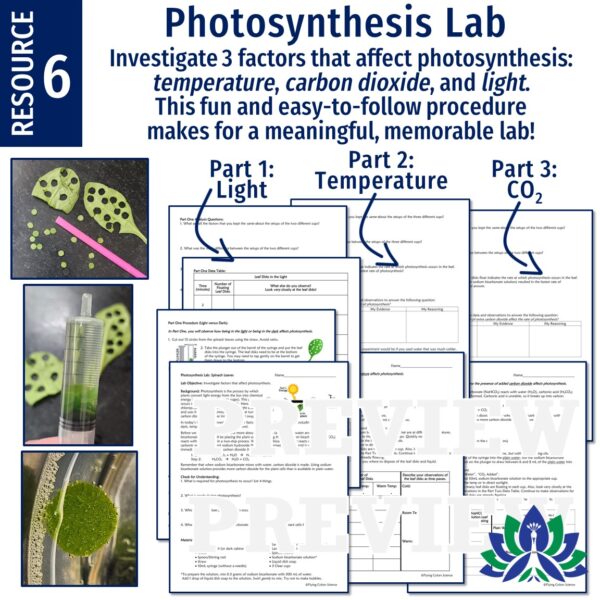 Cell Energy Unit: Photosynthesis and Cellular Respiration Activities - Image 8