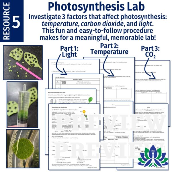 Cell Energy Unit Photosynthesis and Cellular Respiration Activities