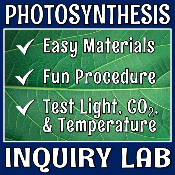 photosynthesis lab