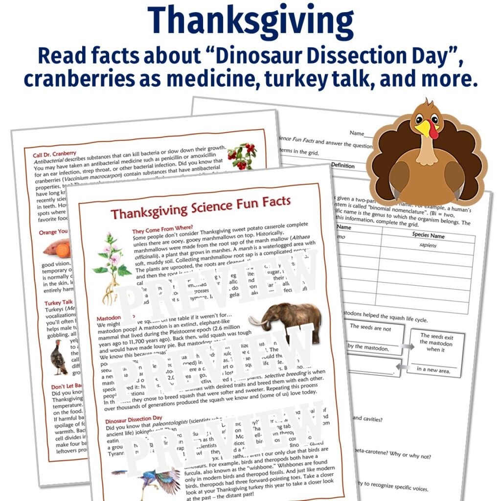 Science Fun Fact Worksheet Holiday Science Fun Facts Article and Worksheet Bundle - Flying Colors ...