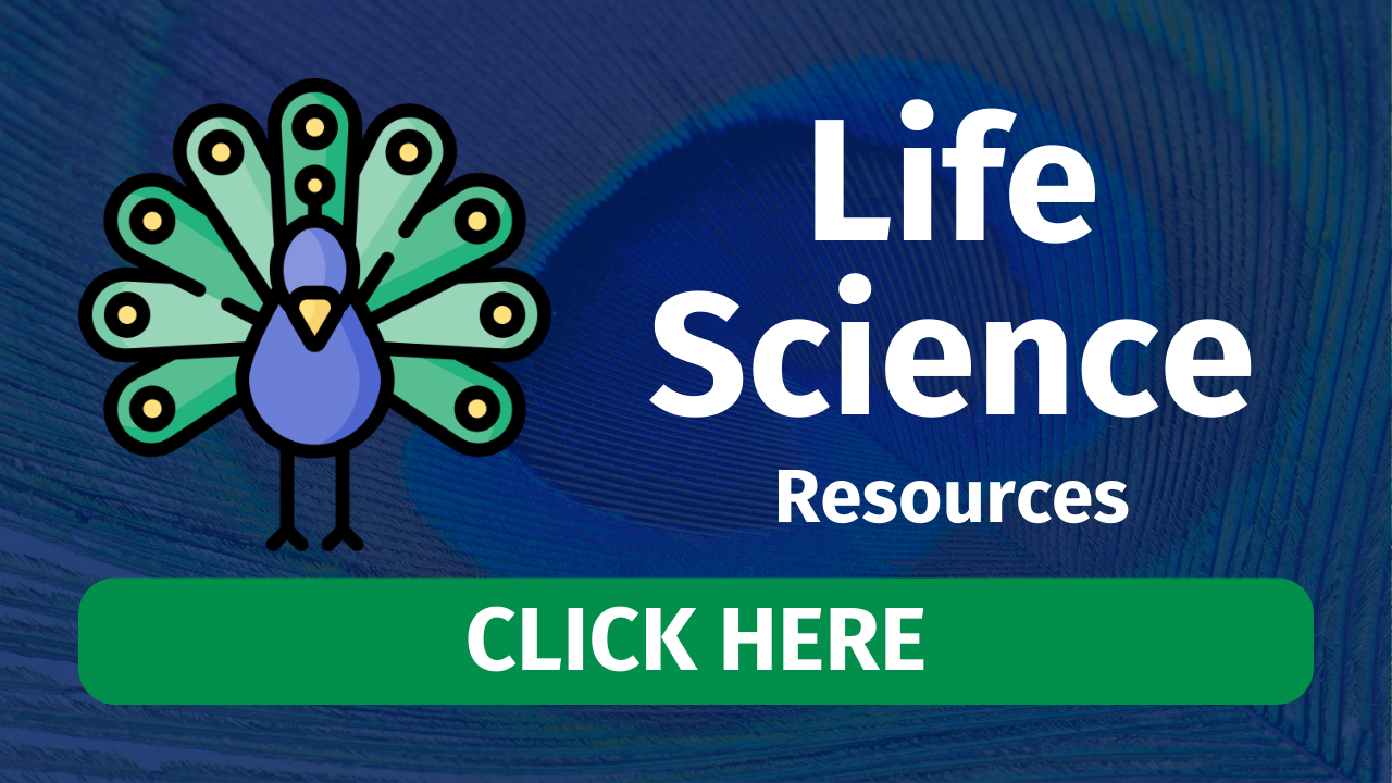 Current Science News Activity Flying Colors Science Current science news activity flying colors science