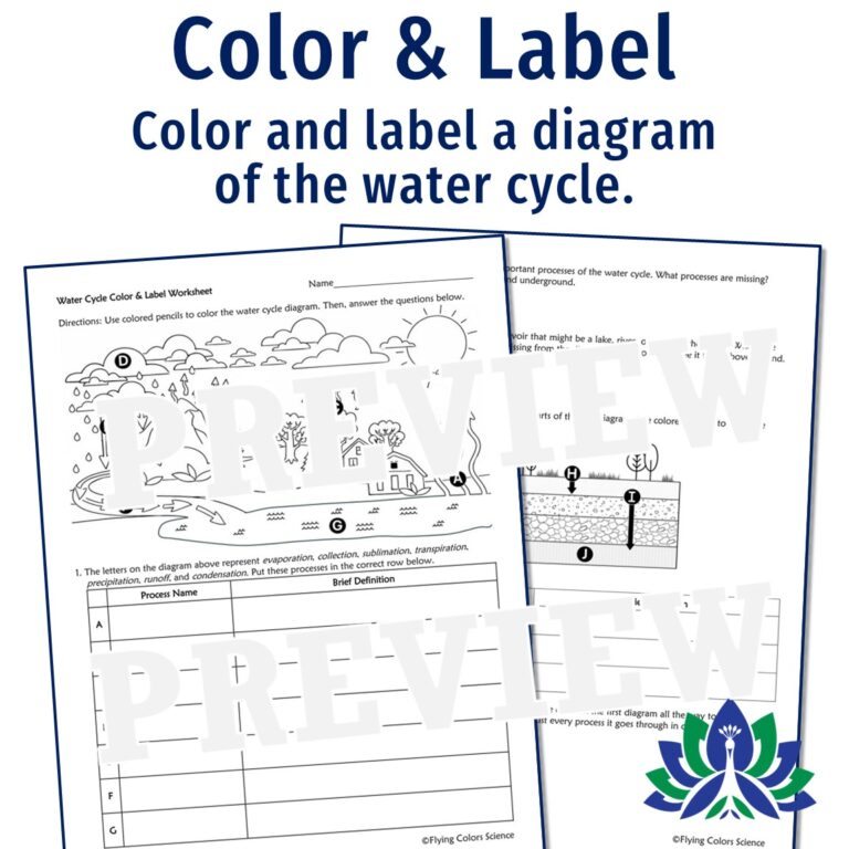 Water Cycle Guided Reading and Worksheets - Flying Colors Science