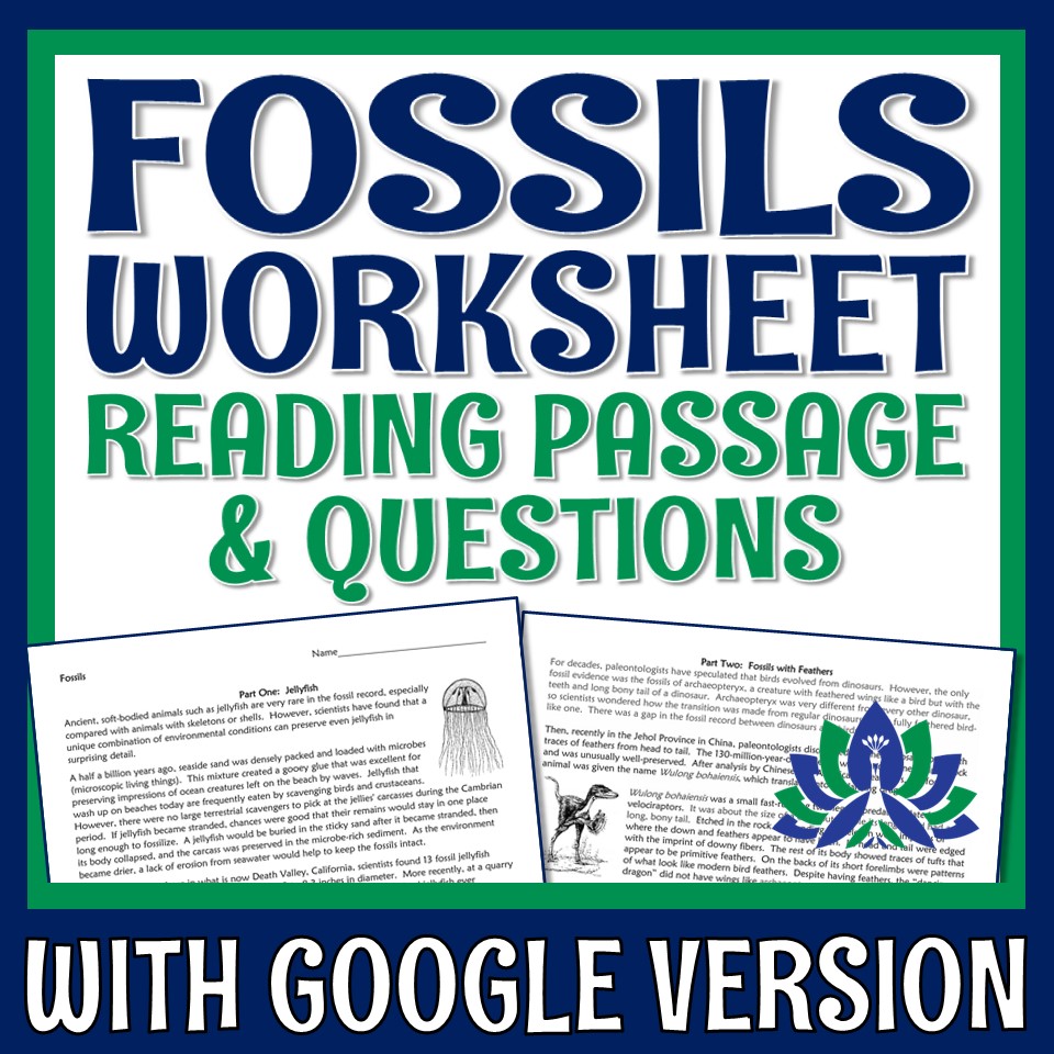 Fossils Reading Comprehension Worksheet - Flying Colors Science