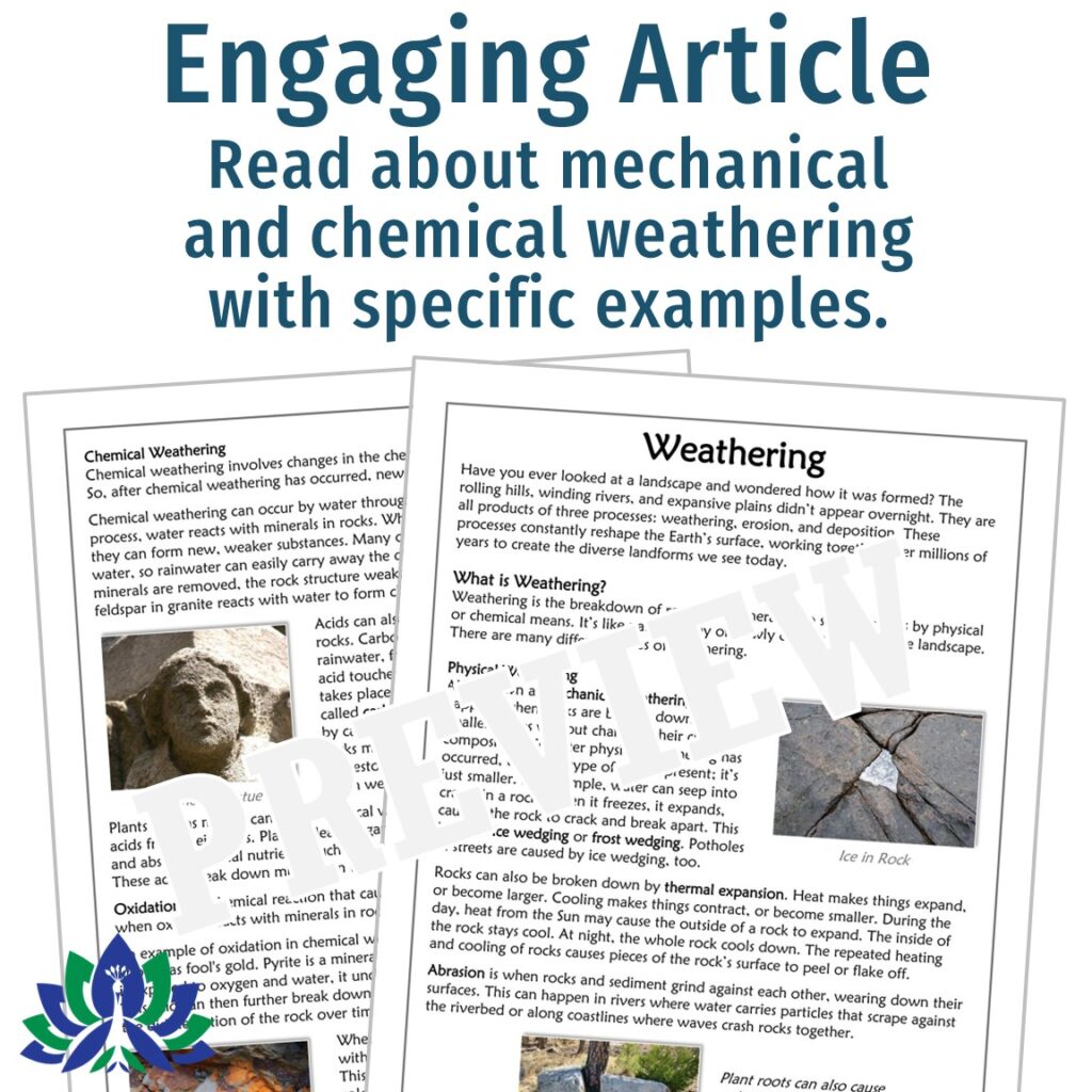 Physical and Chemical Weathering Reading and Worksheet - Flying Colors ...