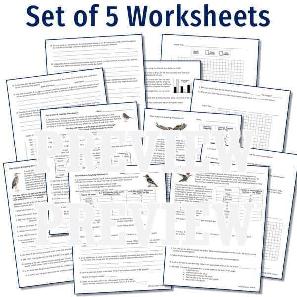 Science Graphing Worksheets - Image 2