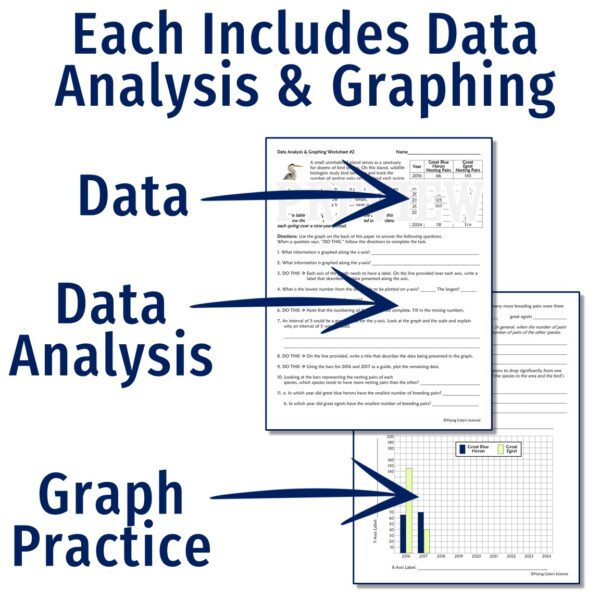 Science Graphing Worksheets - Image 3